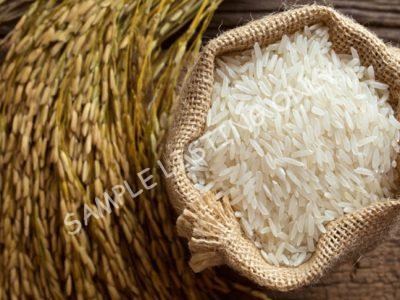 Fluffy Equatorial Guinea Rice