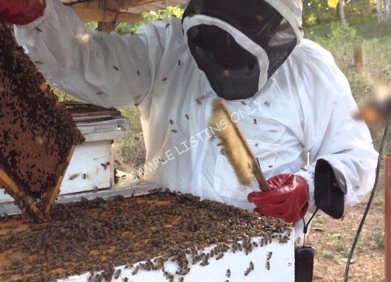 Sweet Equatorial Guinea Honey